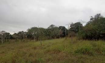 Imagem 2: Terreno á venda loteamento Costa Azul