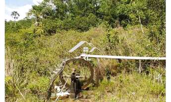 Imagem: FAZENDA RURAL em CACHOEIRA ALTA - GO, fazenda