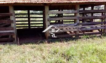 Imagem 5: FAZENDA RURAL em LAGOA SANTA - GO, fazenda