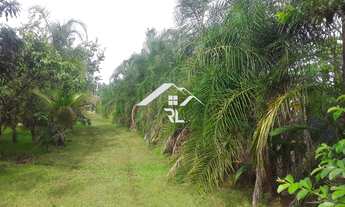 Imagem 4: CHACARA RURAL em RIO VERDE - GO, ÁREA RURAL DE RIO VERDE