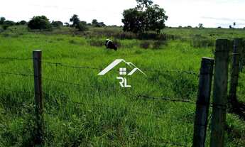 Imagem 3: FAZENDA RURAL em LAGOA SANTA - GO, fazenda