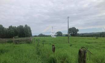 Imagem 7: FAZENDA RURAL em RIO VERDE - GO, ÁREA RURAL DE RIO VERDE