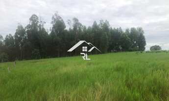 Imagem 6: FAZENDA RURAL em RIO VERDE - GO, ÁREA RURAL DE RIO VERDE