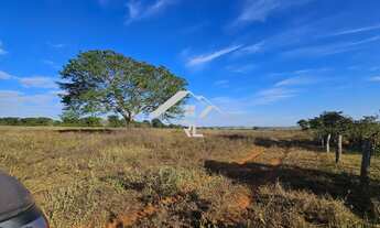 Imagem 5: Fazenda á venda no Município de Quirinópolis Go