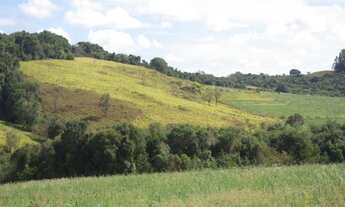 Imagem 6: SÍTIO À VENDA 43,56 HECTARES R$ 1.900.000 - ZONA RURAL - JACUI/MG