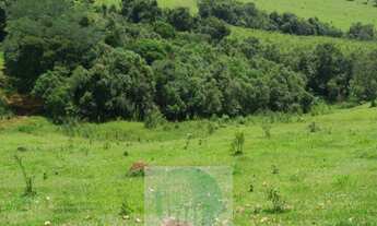 Imagem 7: FAZENDA 169 HA, 1051 M ALTITUDE PARA CAFÉ, JACUÍ - MG