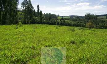 Imagem 7: SÍTIO 11,21 ALQ. PAULISTA, CASA, ENERGIA, RIO - JACUÍ - SUL DE MINAS GERAIS