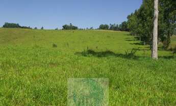 Imagem 2: SÍTIO 11,21 ALQ. PAULISTA, CASA, ENERGIA, RIO - JACUÍ - SUL DE MINAS GERAIS