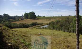 Imagem 5: SÍTIO A VENDA 66,5 HECTARES para GRÃOS E GADO, JACUÍ MG