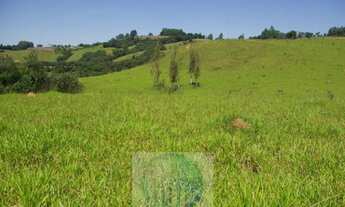 Imagem 4: SÍTIO 11,21 ALQ. PAULISTA, CASA, ENERGIA, RIO - JACUÍ - SUL DE MINAS GERAIS