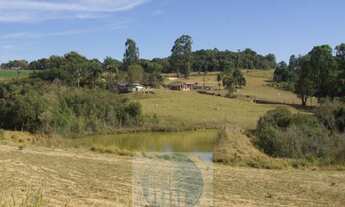 Imagem 2: SÍTIO A VENDA 66,5 HECTARES para GRÃOS E GADO, JACUÍ MG