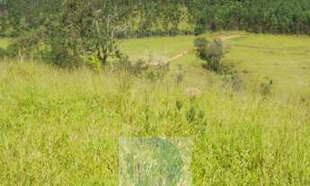 Imagem: SÍTIO A VENDA 12,5 ALQUEIRES a R$ 88.000