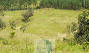 Imagem 5: SÍTIO A VENDA 12,5 ALQUEIRES a R$ 88.000 o Alqueire, JACUÍ - SUL DE MINAS GERAIS, para gad