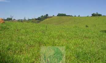 Imagem 3: SÍTIO 11,21 ALQ. PAULISTA, CASA, ENERGIA, RIO - JACUÍ - SUL DE MINAS GERAIS