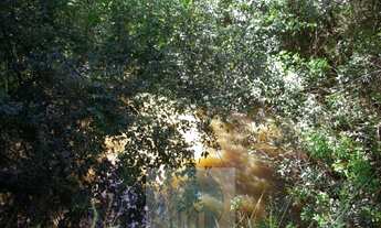 Imagem: SÍTIO 11,21 ALQ. PAULISTA, CASA, ENERGIA