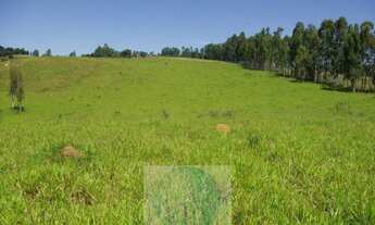 Imagem 5: SÍTIO 11,21 ALQ. PAULISTA, CASA, ENERGIA, RIO - JACUÍ - SUL DE MINAS GERAIS