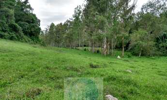 Imagem 4: Vende de Sítio em Jacuí Sul de Minas Gerais, 9 alqueires sendo 7 alqueires para grãos