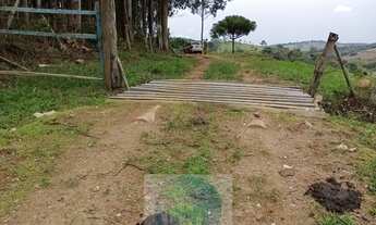 Imagem 3: Sítio 20 ha ou 8,26 alq. a venda, para café, gado Jacui Sul de Minas Gerais