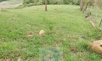 Imagem: Sítio 20 ha ou 8,26 alq. A venda, para