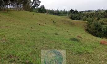 Imagem 6: Sítio 20 ha ou 8,26 alq. a venda, para café, gado Jacui Sul de Minas Gerais