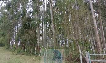 Imagem 2: Sítio 20 ha ou 8,26 alq. a venda, para café, gado Jacui Sul de Minas Gerais