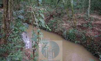 Imagem 7: Sitio 8,23 alqueires ou 19,93 ha para compensação de Reserva, R$ 60 mil o alqueire - Jacuí
