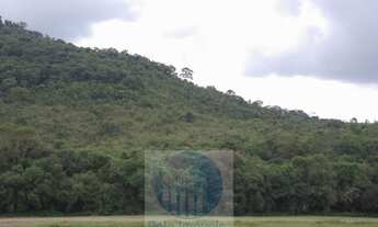 Imagem 4: Sitio 8,23 alqueires ou 19,93 ha para compensação de Reserva, R$ 60 mil o alqueire - Jacuí