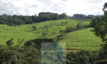 Imagem 5: Sítio 10,24 alqueires em Jacuí MG, casa, água, cerca e pode plantar café, milho, soja e tr