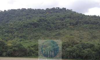 Imagem 2: Sitio 8,23 alqueires ou 19,93 ha para compensação de Reserva, R$ 60 mil o alqueire - Jacuí