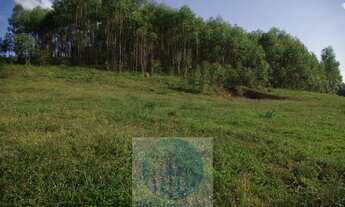 Imagem 5: Sítio 13,5 alqueires R$ 150.000 valor do alqueire, excelente estrutura, planta milho, soja