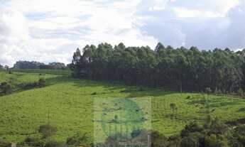 Imagem 6: Sítio 10,24 alqueires em Jacuí MG, casa, água, cerca e pode plantar café, milho, soja e tr