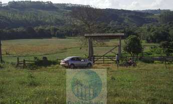 Imagem: Sítio 13,5 alqueires R$ 150.000 valor do