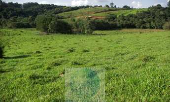 Imagem 2: Sítio 13,5 alqueires R$ 150.000 valor do alqueire, excelente estrutura, planta milho, soja