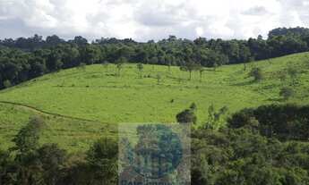 Imagem 4: Sítio 10,24 alqueires em Jacuí MG, casa, água, cerca e pode plantar café, milho, soja e tr