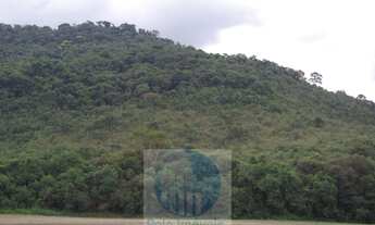 Imagem 3: Sitio 8,23 alqueires ou 19,93 ha para compensação de Reserva, R$ 60 mil o alqueire - Jacuí