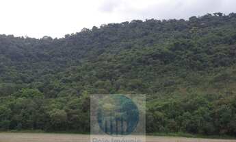 Imagem: Sitio 8,23 alqueires ou 19,93 ha para compensação