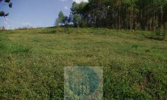 Imagem 6: Sítio 13,5 alqueires R$ 150.000 valor do alqueire, excelente estrutura, planta milho, soja