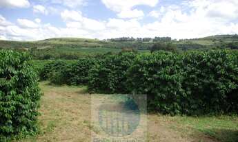Imagem 4: Fazenda com 140.000 pés de café produzindo, a 20 km de Jacuí Minas Gerais, casa de caseiro