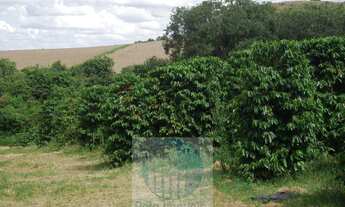 Imagem 3: Fazenda com 140.000 pés de café produzindo, a 20 km de Jacuí Minas Gerais, casa de caseiro