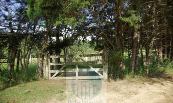 Imagem: Sítio 10,24 alqueires em Jacuí MG, casa