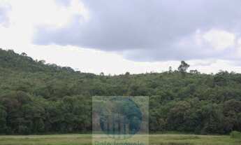 Imagem 5: Sitio 8,23 alqueires ou 19,93 ha para compensação de Reserva, R$ 60 mil o alqueire - Jacuí