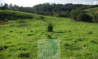 Imagem 3: Sítio 13,5 alqueires R$ 150.000 valor do alqueire, excelente estrutura, planta milho, soja