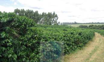 Imagem 6: Fazenda com 140.000 pés de café produzindo, a 20 km de Jacuí Minas Gerais, casa de caseiro