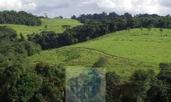 Imagem 3: Sítio 10,24 alqueires em Jacuí MG, casa, água, cerca e pode plantar café, milho, soja e tr