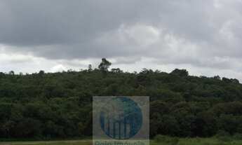 Imagem 6: Sitio 8,23 alqueires ou 19,93 ha para compensação de Reserva, R$ 60 mil o alqueire - Jacuí