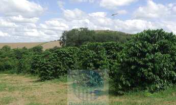 Imagem 2: Fazenda com 140.000 pés de café produzindo, a 20 km de Jacuí Minas Gerais, casa de caseiro