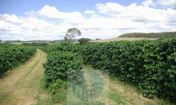 Imagem 5: Fazenda com 140.000 pés de café produzindo, a 20 km de Jacuí Minas Gerais, casa de caseiro