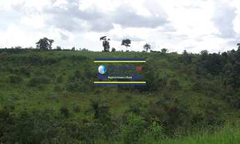 Imagem 4: Sítio 4,5 alqueires para Café, Altitude 1.100 metros, Jacuí sentido São Sebastião do Paraí