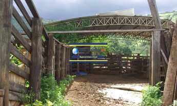 Imagem 5: Fazenda 40 alqueires com estrutura, casa, água, energia, altitude para plantar café e gado