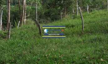 Imagem 5: Sítio 14 alqueires com estrutura, casa, água e energia, R$ 90.000,00 valor do alqueire - J